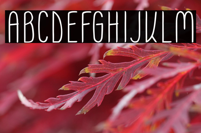 Moonless SC Regular Example 1