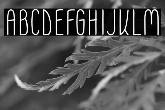 Moonless SC Regular Font examples