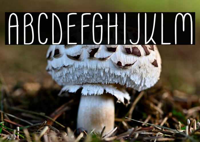 Moonless SC Regular Example 2