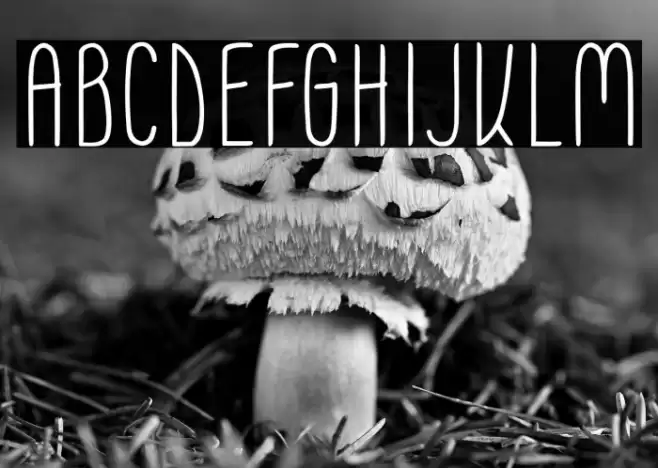 Moonless SC Regular Font examples