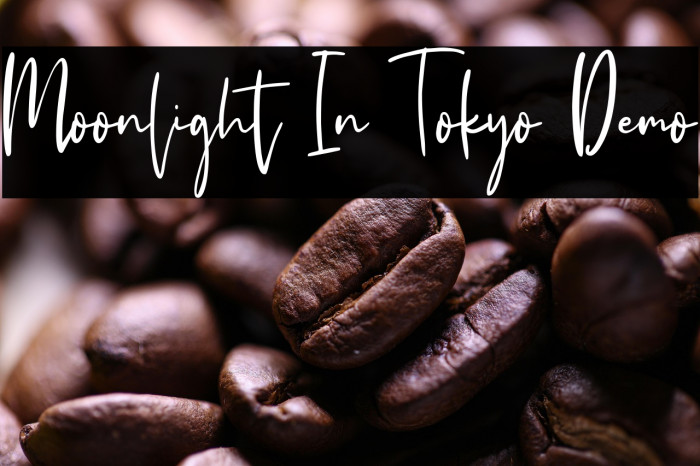 Moonlight In Tokyo Demo Example 1