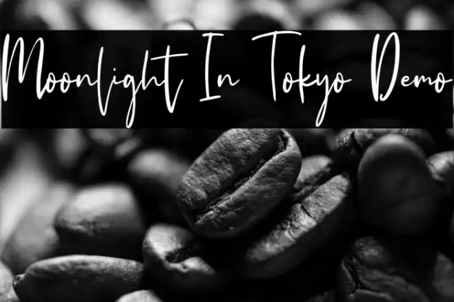 Moonlight In Tokyo Demo Schriftart examples