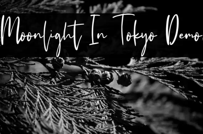 Moonlight In Tokyo Demo Schriftart examples