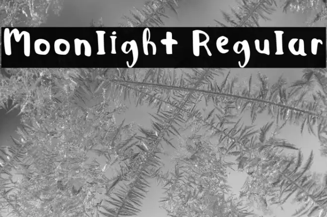 Moonlight Regular Example 1