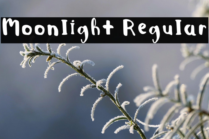 Moonlight Regular Example 2