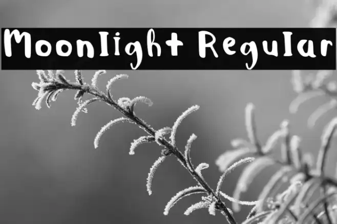 Moonlight Regular Example 2