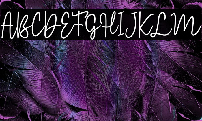 Moonlight Rotter Example 1