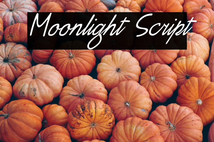 Moonlight Script Example 2