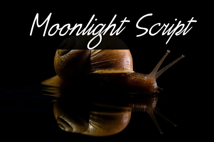 Moonlight Script Example 3