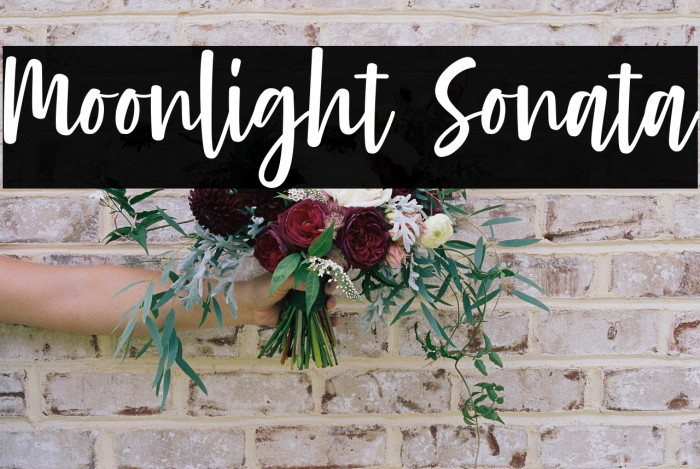 Moonlight Sonata Example 1