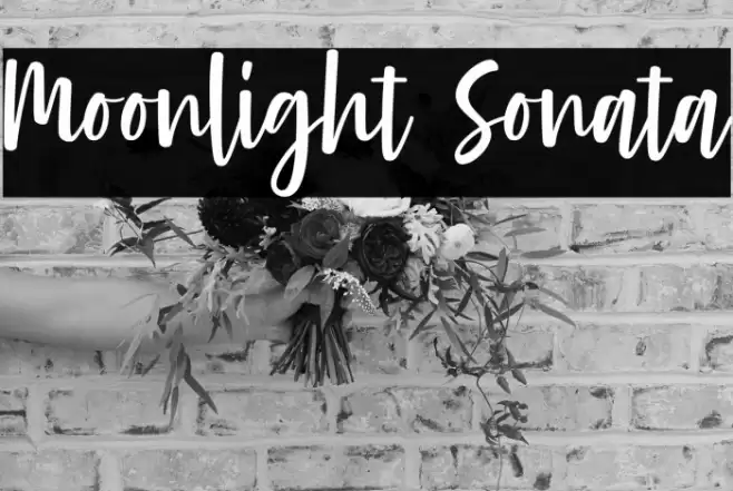 Moonlight Sonata Font examples