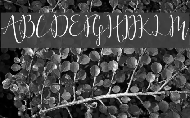 MoonlightRegular-Regular Example 1