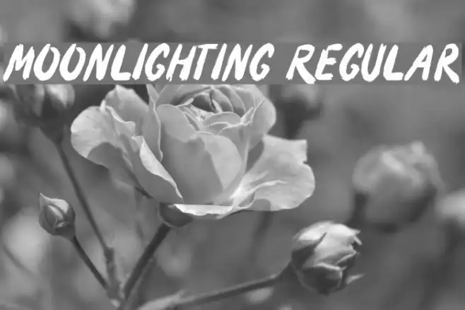 Moonlighting Regular Example 2