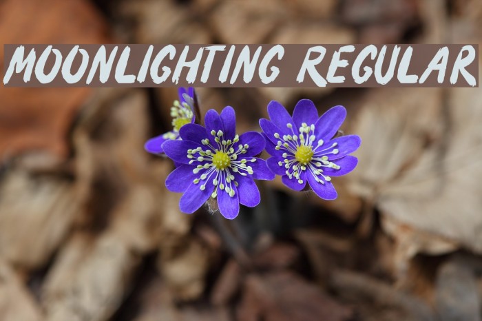 Moonlighting Regular Font examples