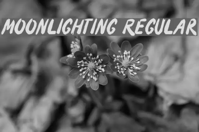 Moonlighting Regular Example 3