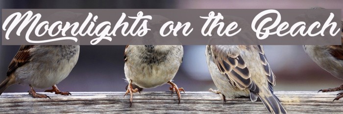 Moonlights on the Beach Example 2