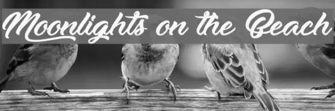 Moonlights on the Beach Font examples