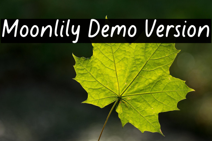 Moonlily Demo Version Example 1