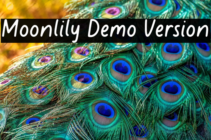 Moonlily Demo Version Example 2