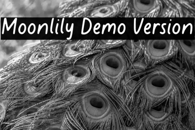 Moonlily Demo Version Font examples