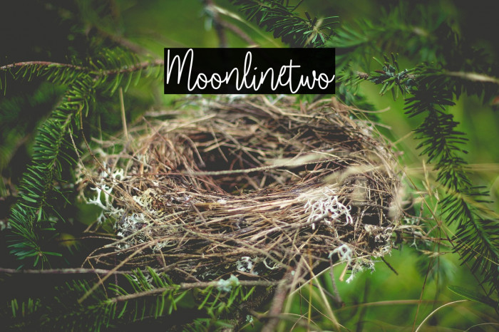 Moonlinetwo Font examples