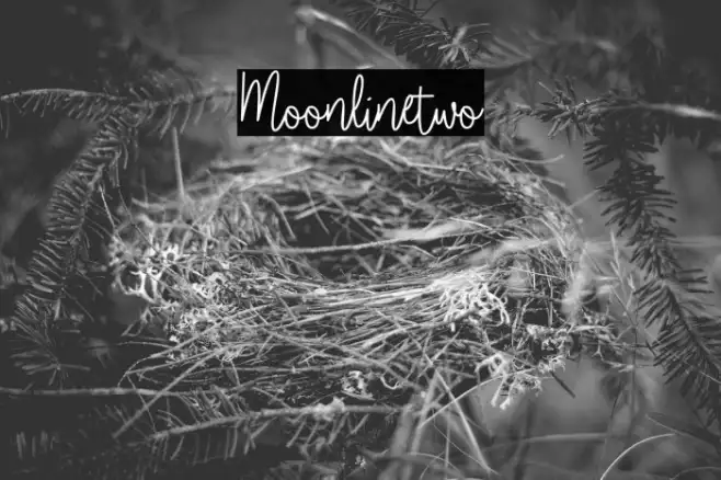 Moonlinetwo Example 1