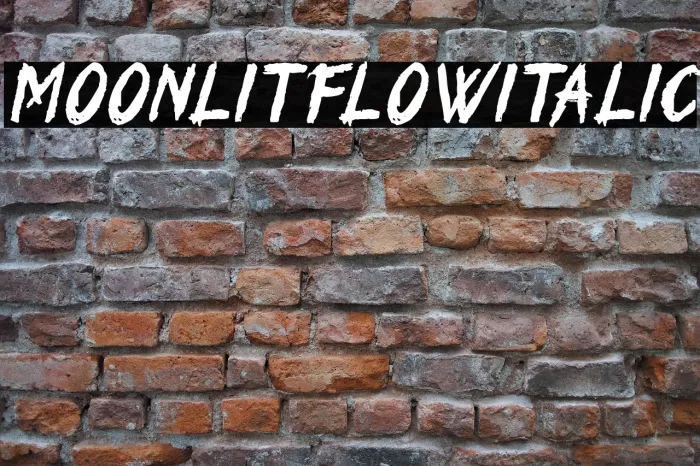 Moonlit Flow Italic Example 1