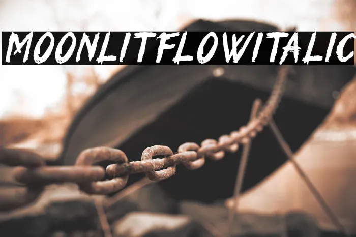 Moonlit Flow Italic Example 2