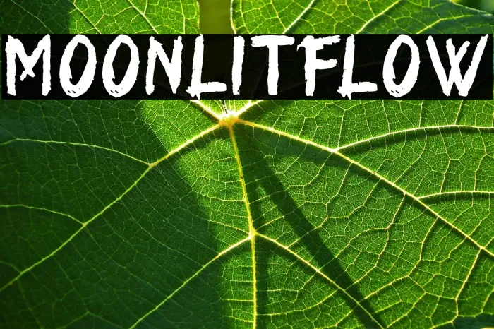 Moonlit Flow Example 1