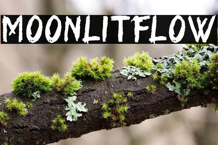 Moonlit Flow Example 3