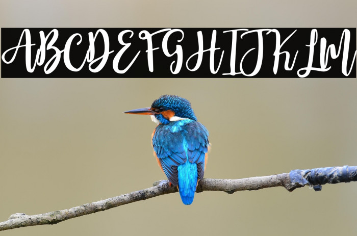 Moonlite Script Example 2