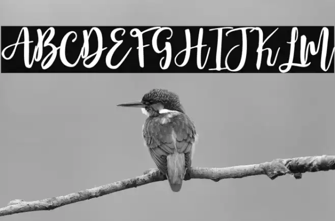 Moonlite Script Example 2