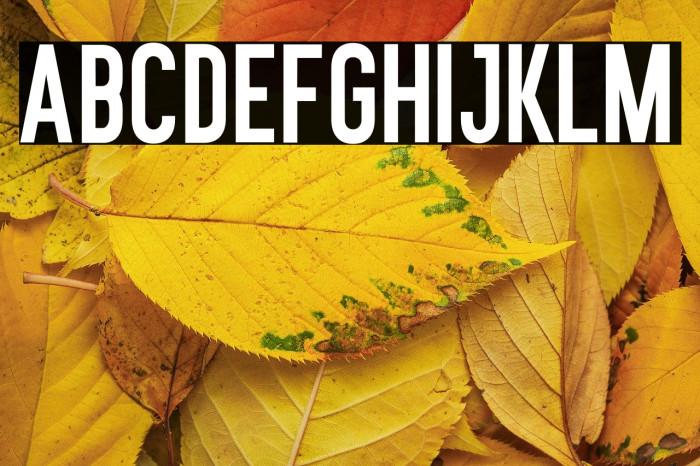 Moonlite Solid Personal Use Example 3