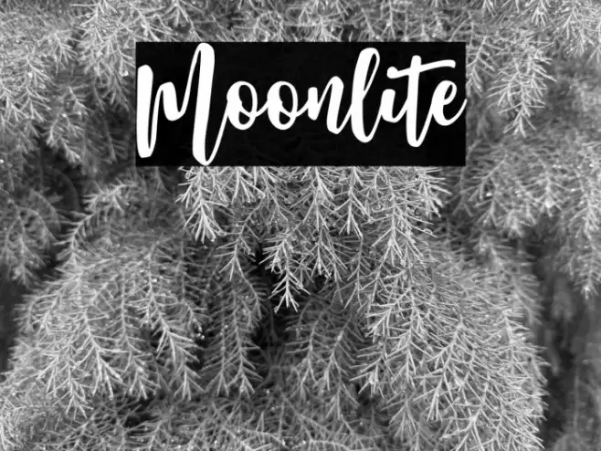 Moonlite Font examples