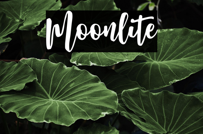 Moonlite Example 2