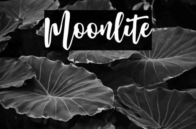 Moonlite Font examples