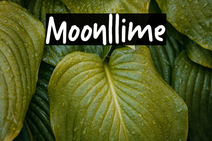 Moonllime Example 1