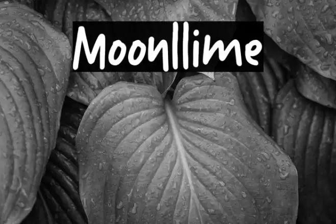 Moonllime Font examples