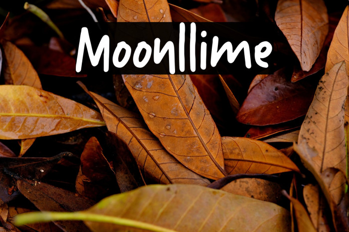 Moonllime Example 2