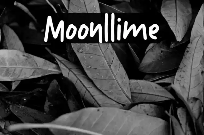 Moonllime Font examples