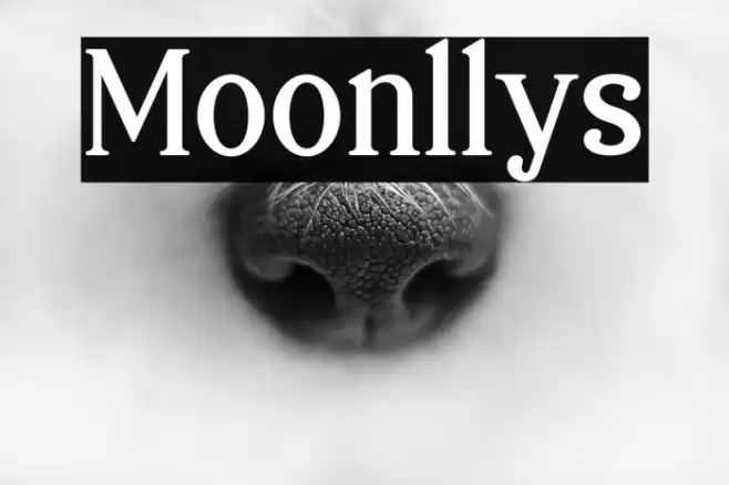 Moonllys Font examples