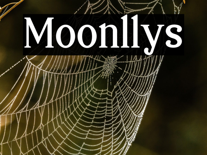 Moonllys Example 3