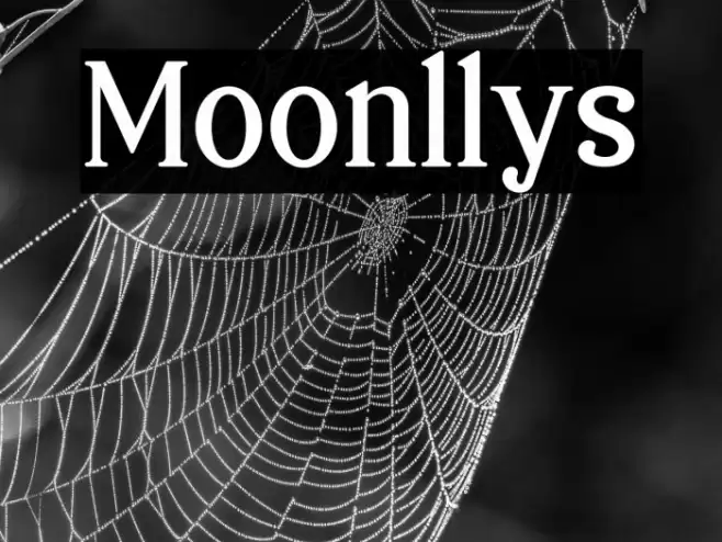 Moonllys Font examples