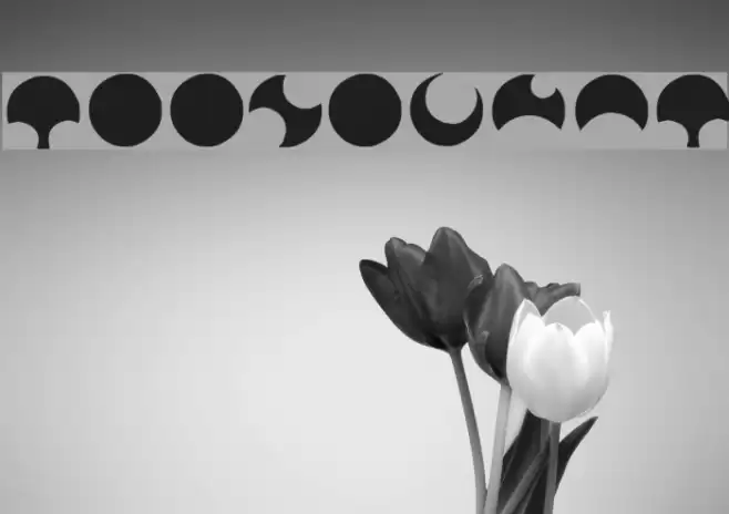 Moonogram Font examples