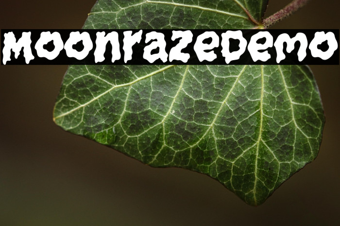 MoonrazeDemo Example 1