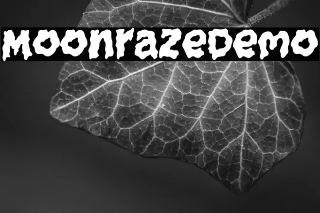 MoonrazeDemo Example 1