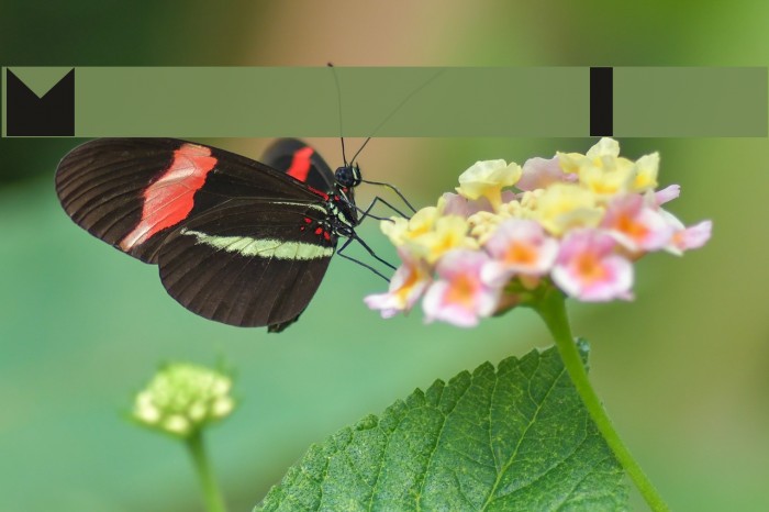 Moonrise Fill Example 3