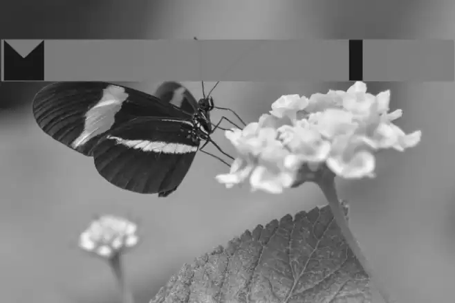 Moonrise Fill Font examples