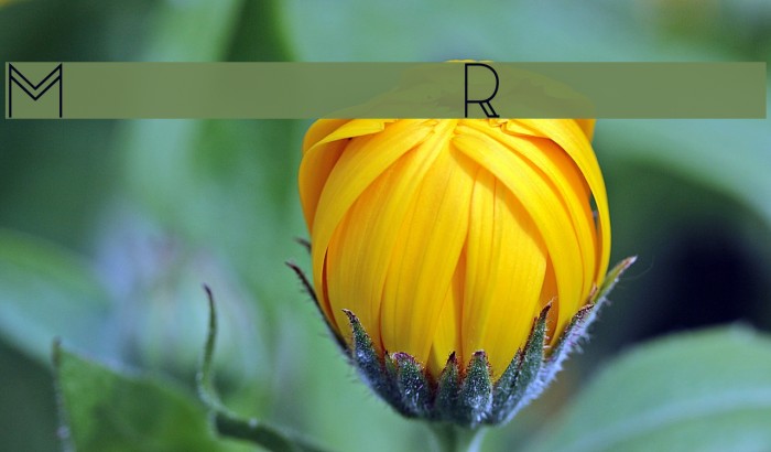 Moonrise Regular Example 1