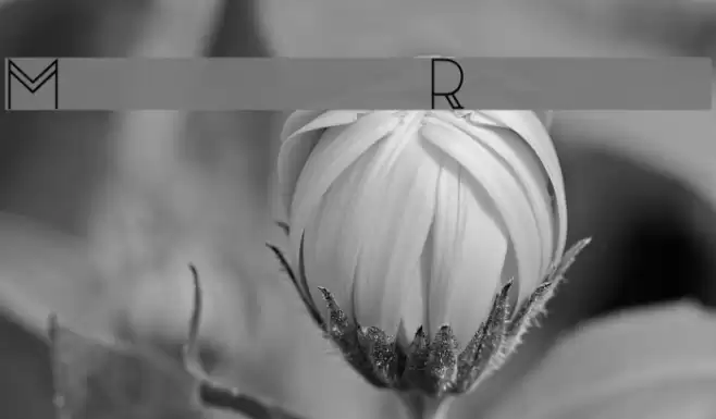 Moonrise Regular Font examples